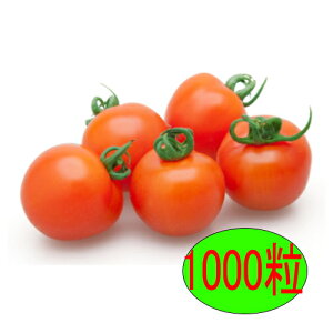 y׎oׁzJlRc@IWI[@1000