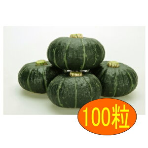 【入荷次第出荷】カネコ種苗 パンプキッズ 100粒