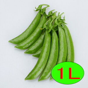 y׎oׁzJlRc@sbJsJXibv@1L