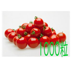 y׎oׁzJlRc@v~Ar[@g}g@1000