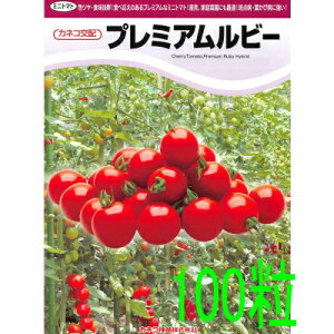 y׎oׁzJlRc@v~Ar[@g}g@100