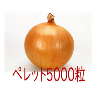 y׎oׁzJlRc@[x@ʔK@ybg5000