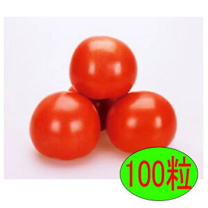 �y���׎���o�ׁz�J�l�R��c�@SR�ʕ��@100��