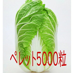 �y���׎���o�ׁz�J�l�R��c�@�؎����@���؁@�y���b�g5000��