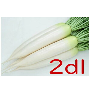 y׎oׁzJlRc@a@卪@2dl