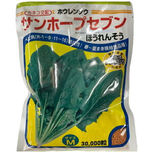 �y���׎���o�ׁz�J�l�R��c�@�T���z�[�v�Z�u���@�v���C�~���O�@�iM�j30000R