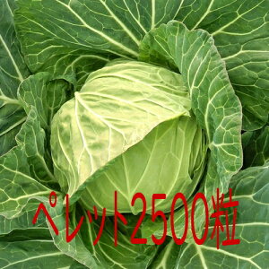 y׎oׁzJlRc@Ȃ݁@Lxc@2500