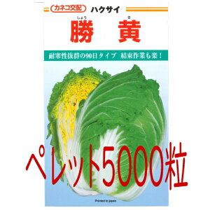 y׎oׁzJlRc@@؁@ybg5000