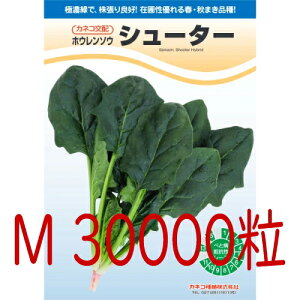 y׎oׁzJlRc@V[^[@@@@vC~O@iMj30000