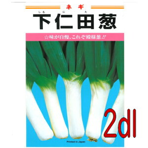 【入荷次第出荷】カネコ種苗 下仁田葱 2dl