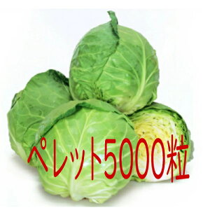 y׎oׁzJlRc@uLxc@ybg5000