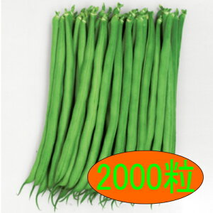 y׎oׁzJlRc@X[p[Vbg@2000