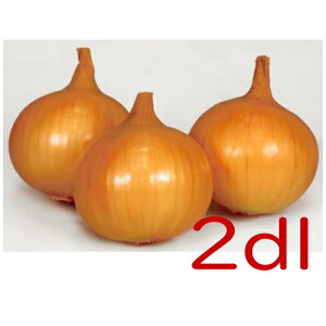 y׎oׁzJlRc@X[@ʔK@2dl