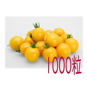 y׎oׁzJlRc@TYCG[~~@~jg}g@1000