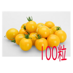 y׎oׁzJlRc@TYCG[~~@~jg}g@100