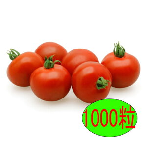 y׎oׁzJlRc@TYbhI[@1000