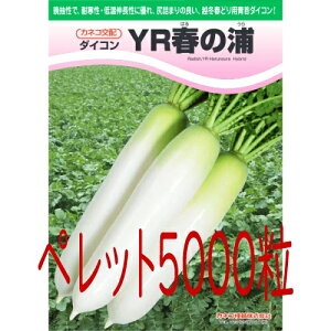 y׎oׁzJlRc@YRt̉Y@卪@ybg5000