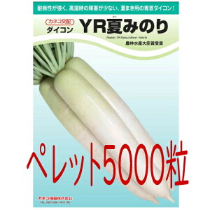 y׎oׁzJlRc@YRĂ݂̂卪@ybg5000