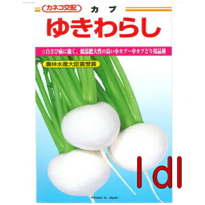 y׎oׁzJlRc@䂫炵@@1dl