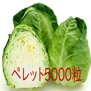 y׎oׁzJlRc@jR[@Lxc@ybg5000