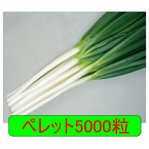 y׎oׁzJlRc@ďꏊ@ybg5000