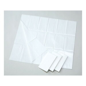 AITEX@fBX|V[c (10)@ADS-1020-1