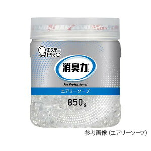 GXe[@Ĺ@Ɩpr[Y^Cv@eʁ@ @130306@4901070130306