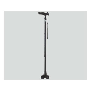 tWz[@Lk4|CgXebLi邪E4_DXj ubN@WB3778@4977626733949