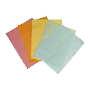 ファーストレイト デントリーフ (防水エプロン1シート) 330×450 FR-231 4560168802312