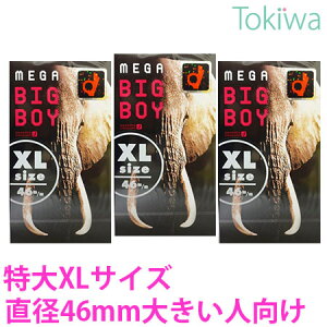 _X[p[SALEN[|^Rh[ ǁ[ KrbO{[C XLTCY 12R×3 z  D A\[g[[t