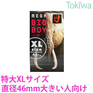 Rh[ KrbO{[C XLTCY 12R×1 `OX ǁ[  D A\[g[[t