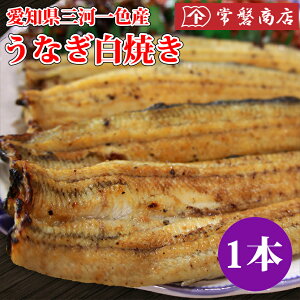 ȂĂ1@mO͈FYVbVAmYEiM₫