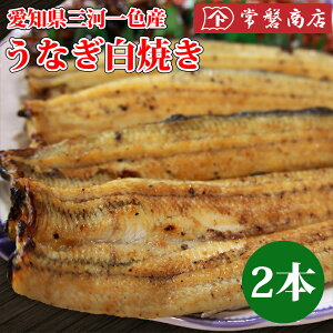 ȂĂ2@mO͈FYVbVAmYEiM₫