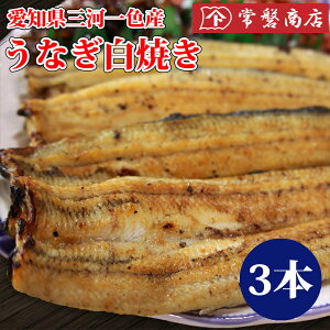 ȂĂ3@mO͈FYVbVAmYEiM₫