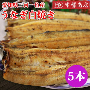 ȂĂ5@mO͈FYVbVAmYEiM₫