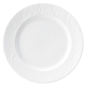 OF[ VF 27cmv[g rXN 27.3cm n mH ی^v[g 25cmȏ { Ɩp zeXg  v[g M 傫ێM v[g M p