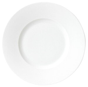 WfB 30cmv[g 30.3cm n mH ی^v[g 25cmȏ { Ɩp zeXg  v[g M 傫ێM v[g M pX^M I[huM