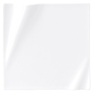 lv`[ sAzCg 25cmXNGA[v[g 25cm n mH p^v[g 25cmȏ { Ɩp zeXg  pM lp v[g pX^M M I[hu