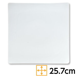 paM  26cmpM 25.7cm n aH pM  v[g a { Z Ɩp lpM 63-11-173-1