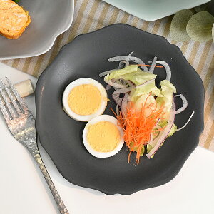 y|Cg10{z OX^C CC։16.5M 16.5cm n aH t[cMEXMEM { Z Ɩp g-2221-16