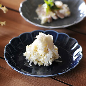 OX^C tBIlCr[Ԍ^16.5cmM 16.4cm n mH ی^v[g 15cm`25cm { Z Ɩp g-2324-07-sp02