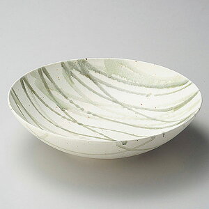 }bg\ ڔ 30.2cm n aH 唫 { Z Ɩp 唫 ϕ T_{E  Ԃ ǂԂ ˔ ǂ 傫Ȕ  28-247-038-ne