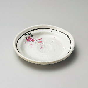 Cg~iu4.0M 13cm n aH t[cMEXMEM { Z Ɩp M v[g M aM fU[gM aJtF  HX aH Xg 28-229-818-o