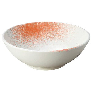 ʕ sN ڐ rbtFX^C 29.7cm sNn aH 唫 { Z Ɩp 唫 ϕ T_{E  Ԃ ǂԂ ˔ ǂ 傫Ȕ  28-244-038-wa51