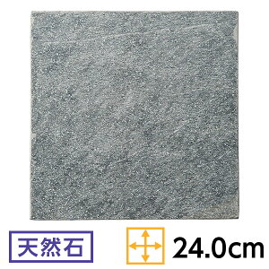VR Vo[VC 24cmXNGA[v[g 24.3cm n aH pM tbgv[g Ζ Ɩp zeXg  lpM 54-R3080062