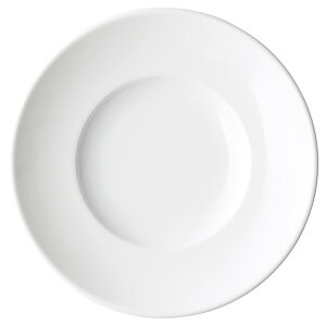 vbc@ W6.5D pM 17.3cm n mH ی^v[g 15cm`25cm { Z Ɩp v[g M  킢 M 28-589-018-ya