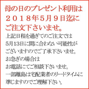 母の日お茶漬け│お茶漬けギフト│国産ローストビーフ茶漬けや鯛茶漬けも入った高級茶漬け5食セット│食品高級ギフト(内祝いお返しにおすすめ)│今だけ500円クーポンキャンペーン実施中