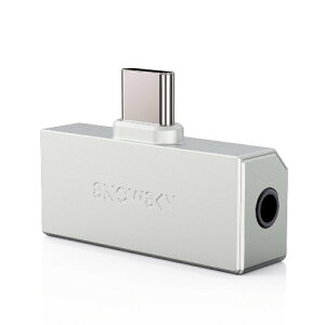 FiiO(�t�B�[�I) FIO-SSTINYB-3544-S �V���o�[ Snowsky TINY USB DAC���� �|�[�^�u���w�b�h�z���A���v 3.5mm�{4.4mm��2�n���o�� �n�C���]�Ή�