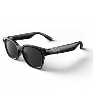 Rokid(���L�b�h) Rokid Ai Glasses Style �_�[�N�O���[ �X�}�[�gAI�O���X RV203-GY AI�A�V�X�^���g ���A���^�C���|�� 12MP�J���� �i�r