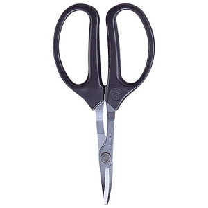 AXR[|[V 350-M NtgȐn